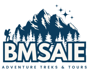bmsaie