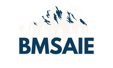 bmsaie (white)logo